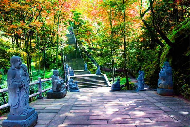 眉山市老峨山拓展基地